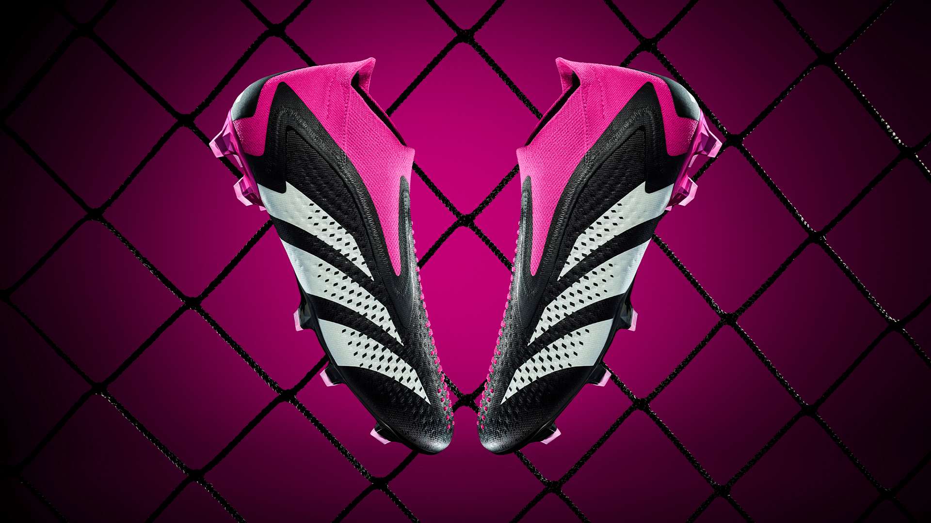 常分享恢复 常分享恢复